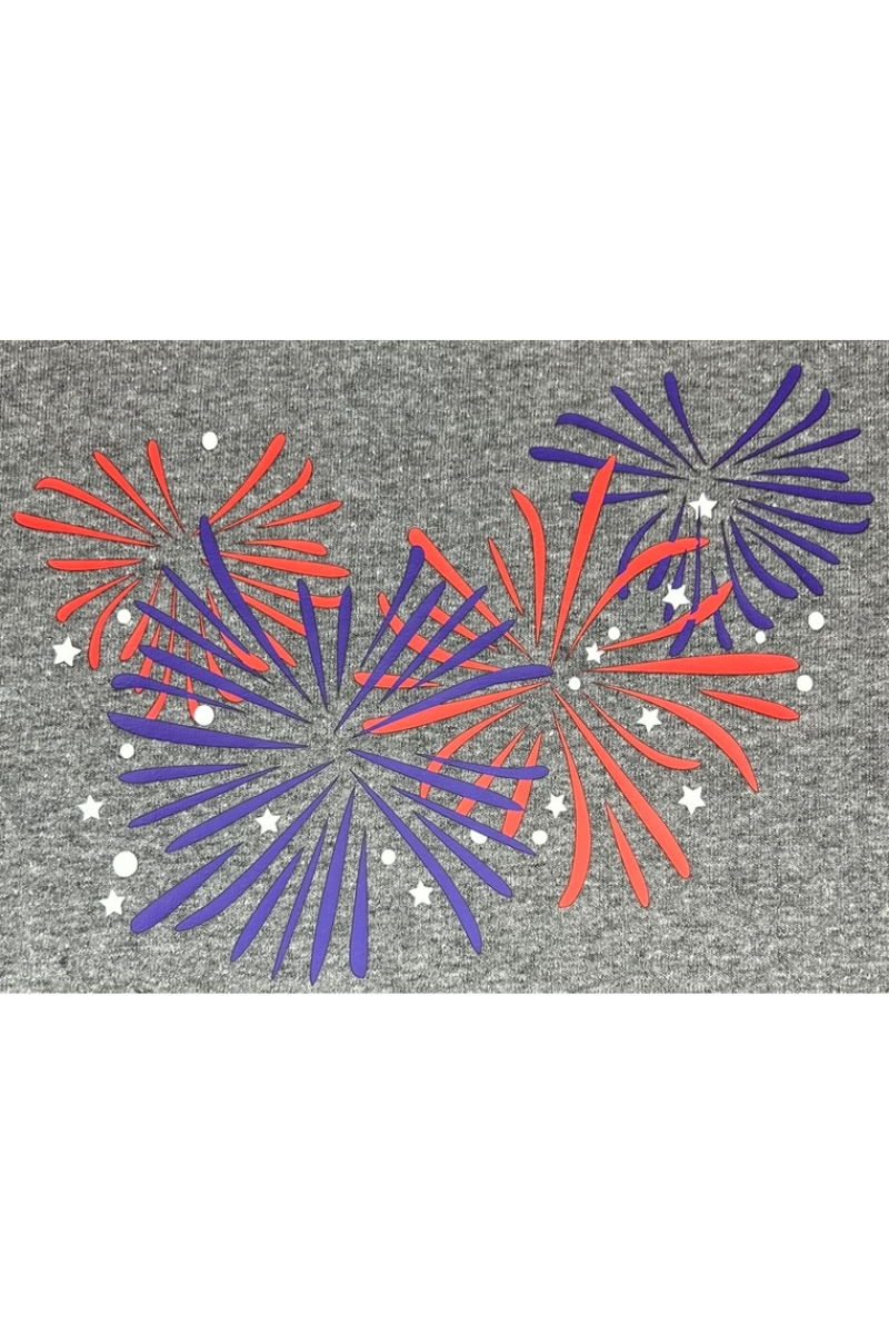 Fourth of July graphic tee, fireworks, ladies eco-friendly tee